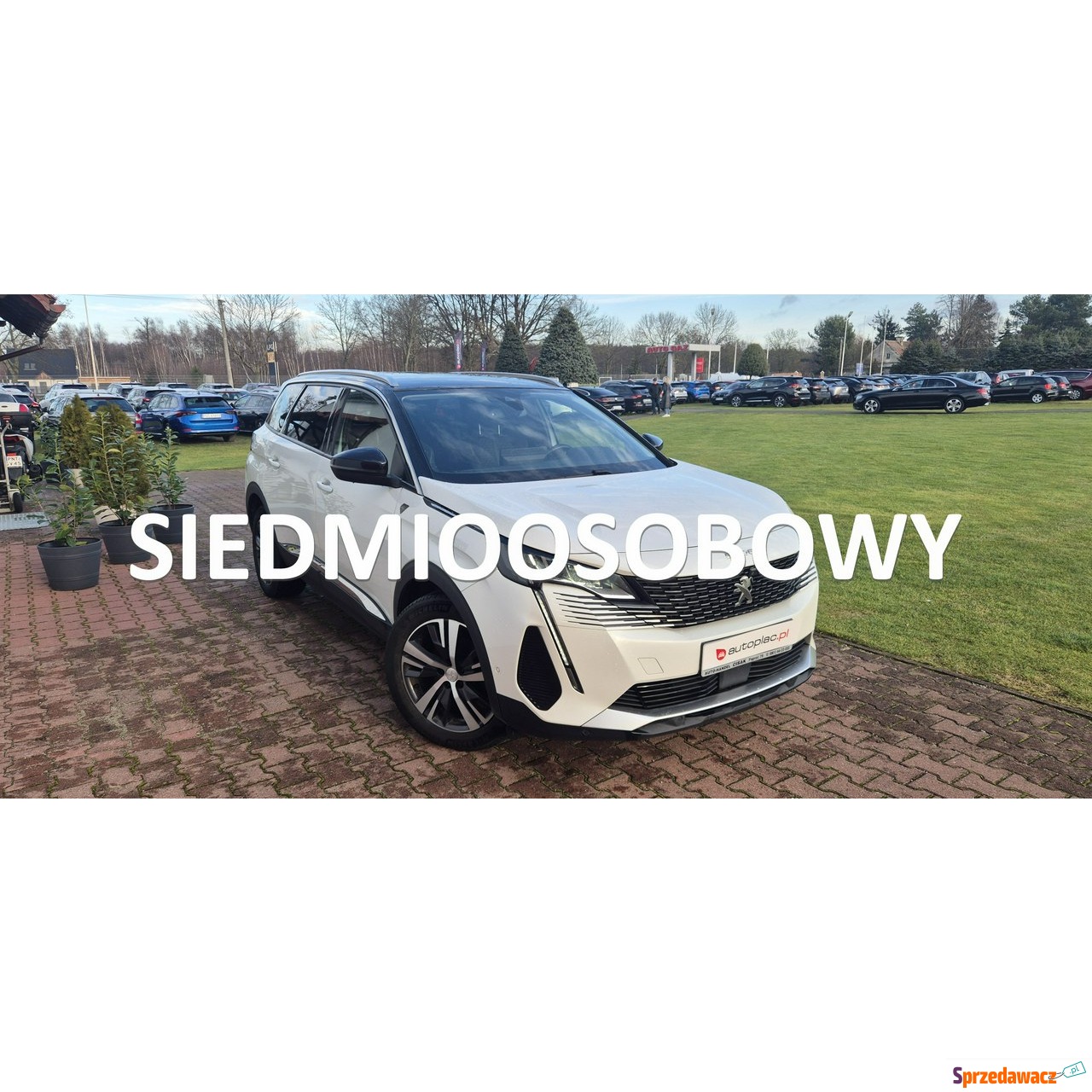 Peugeot 5008 2022