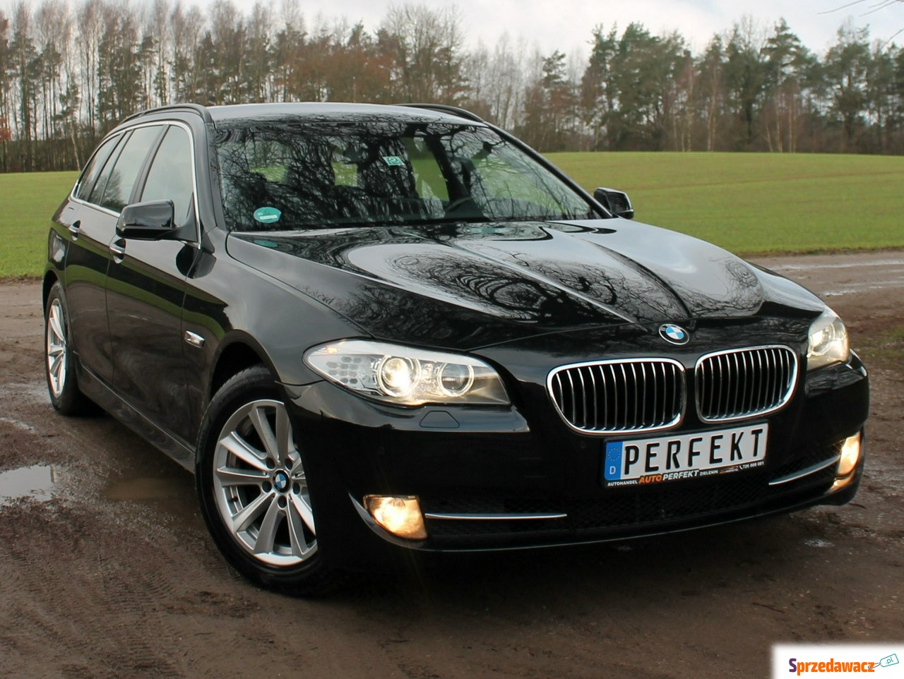 BMW 520 - F10 F11 2.0 D 184 KM...