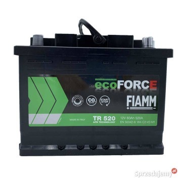 Akumulator 60AH 520A Fiamm Ecoforce AFB