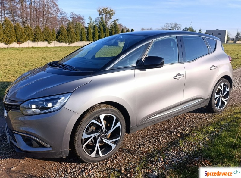 Renault Scenic  Minivan/Van 2019,  1.3 benzyna, automat - Na sprzedaż za 39 999 zł - Pleszew
