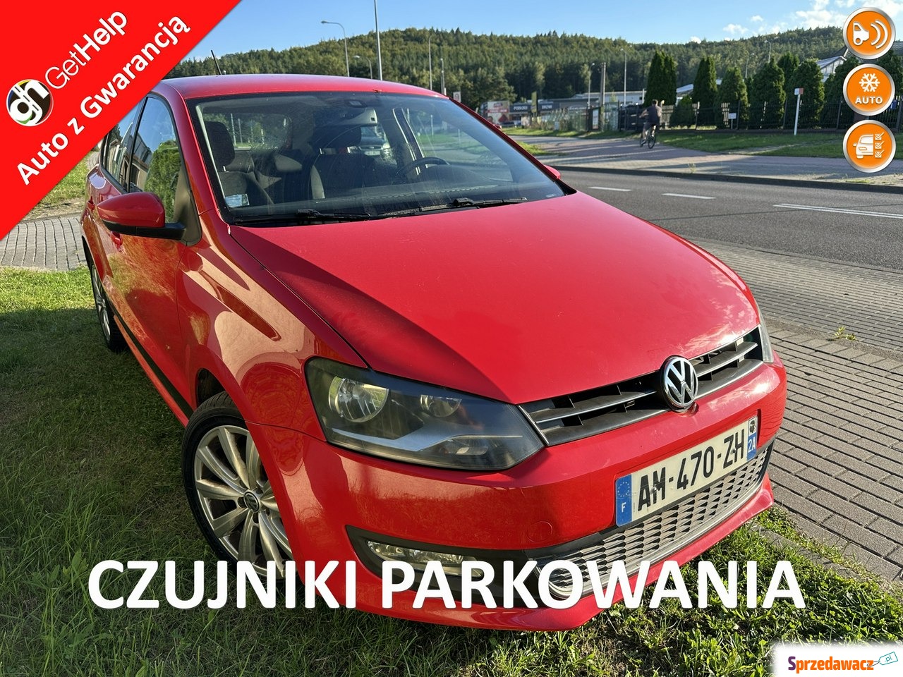 Volkswagen Polo 2010