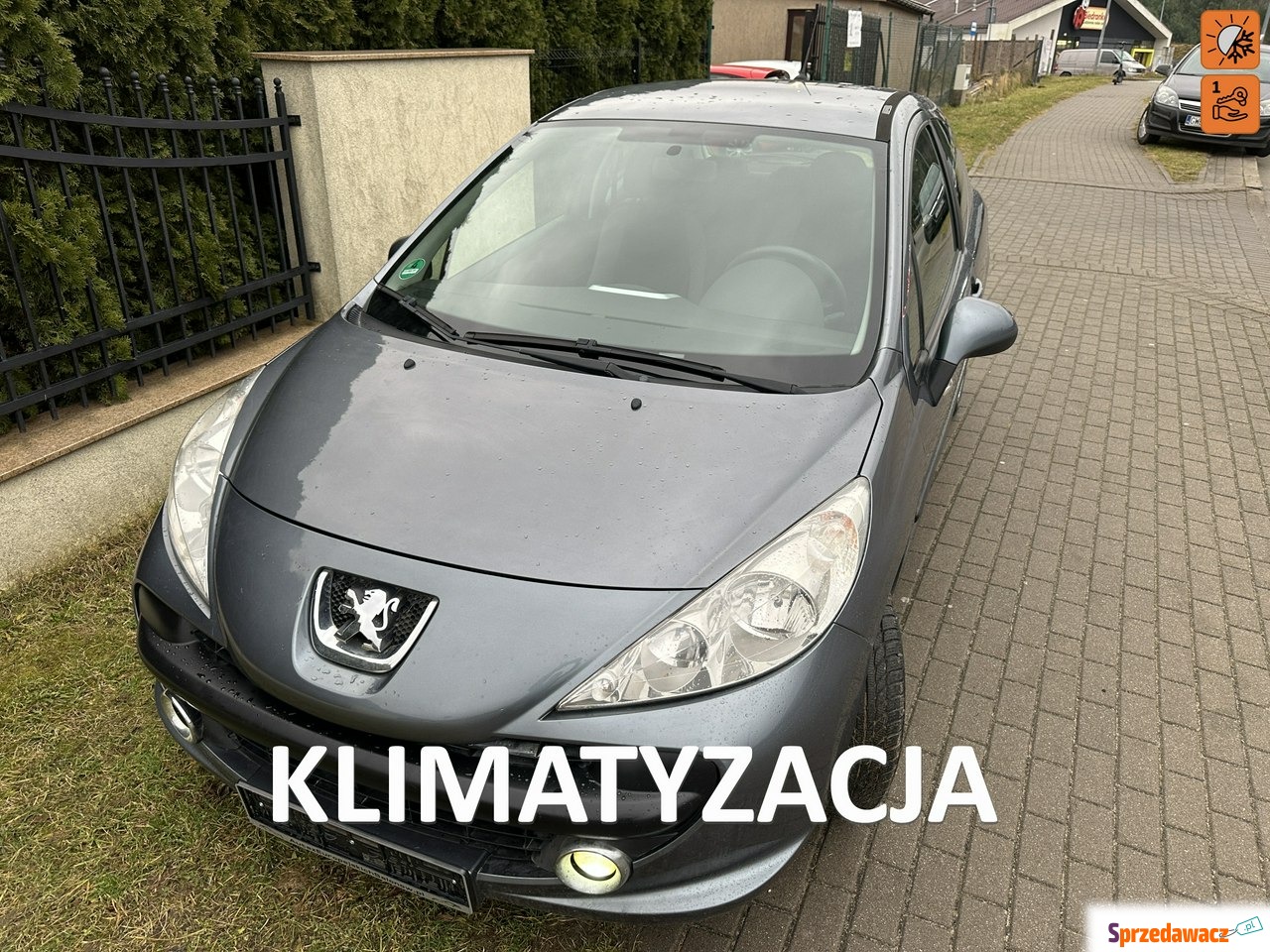 Peugeot 207 2009