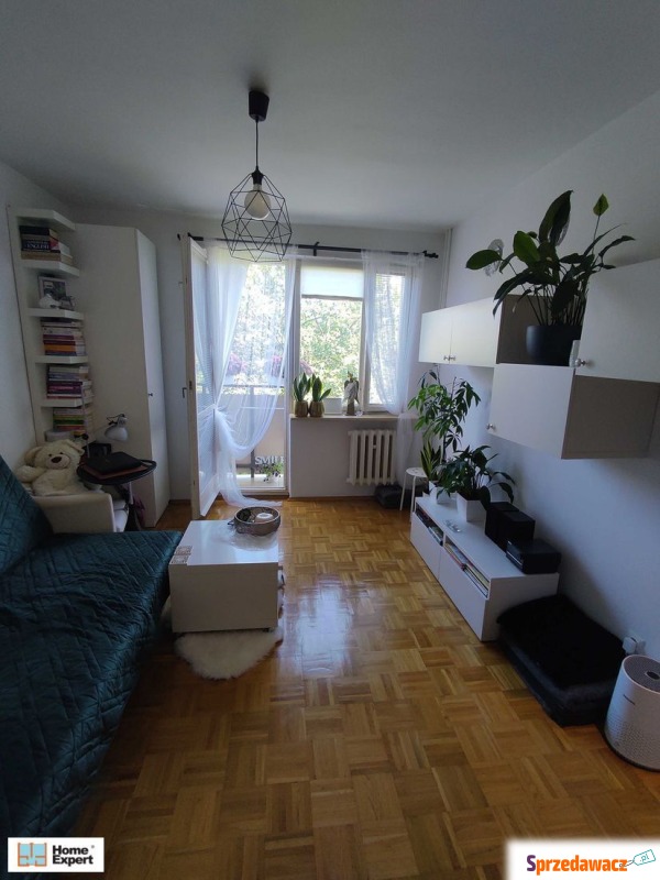 1pok, 20met, Okolice Sokolej BALKON...