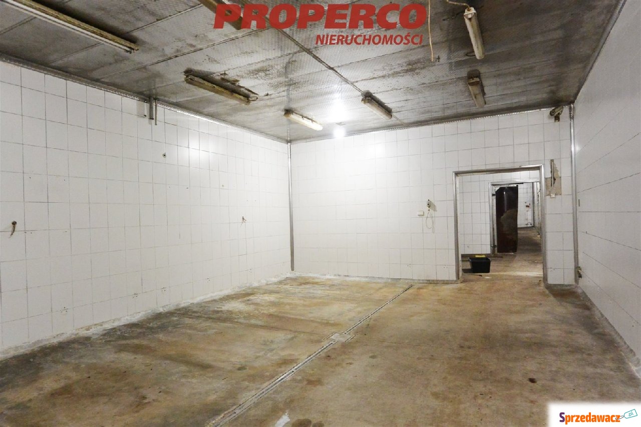 Hala ok 1650 m2 + plac 3000 m2,...
