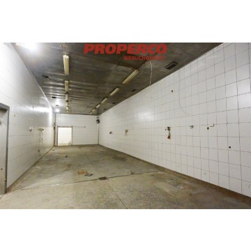 Hala ok 1650 m2 + plac 3000 m2, Piekoszów - Lokale użytkowe do w... - Piekoszów - zdjęcie 2