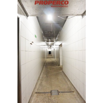 Hala ok 1650 m2 + plac 3000 m2, Piekoszów - Lokale użytkowe do w... - Piekoszów - zdjęcie 3