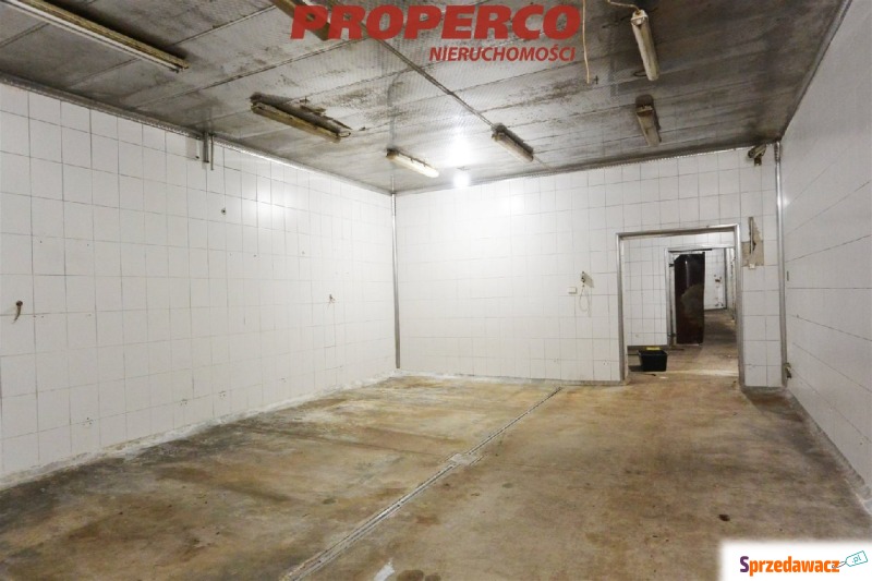 Hala ok 1650 m2 + plac 3000 m2, Piekoszów - Lokale użytkowe do w... - Piekoszów