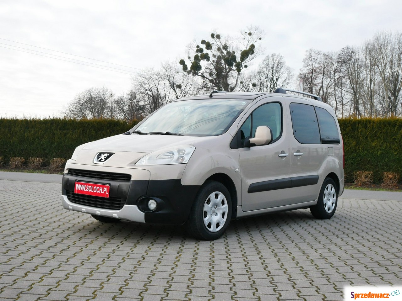 Peugeot Partner 2010