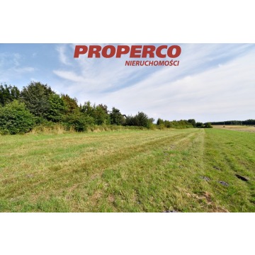 Działka pod Kielcami z MPZP, 9051 m2, Radlin,Górno