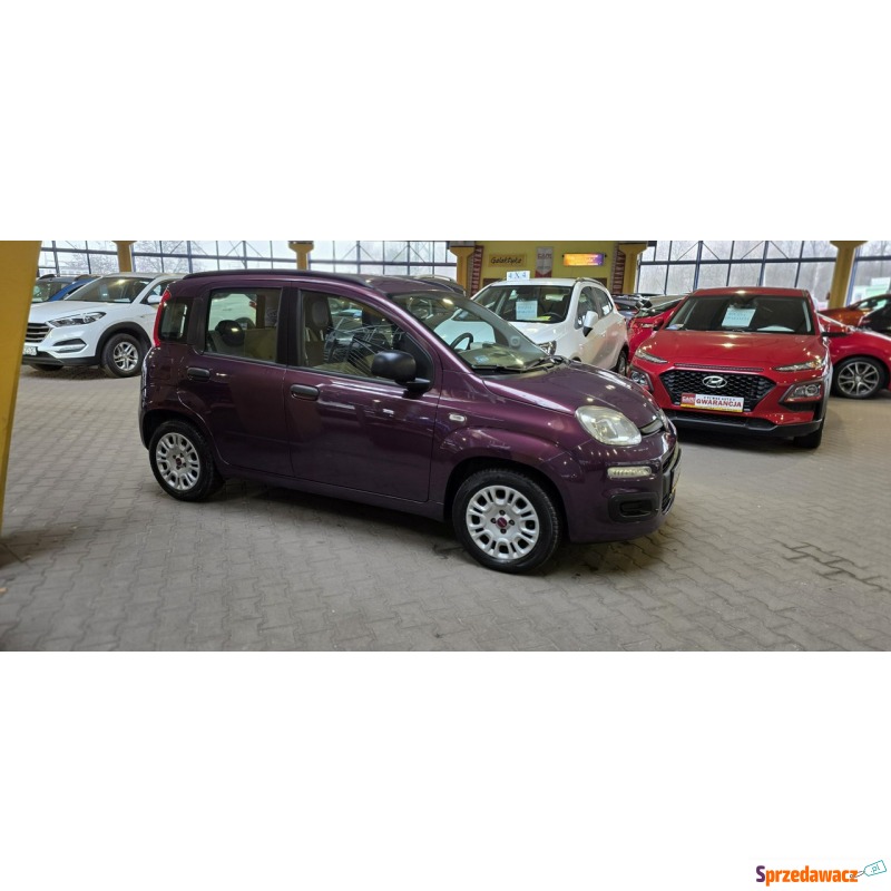 Fiat Panda  Hatchback 2012,  1.2 benzyna - Na sprzedaż za 22 900 zł - Mysłowice