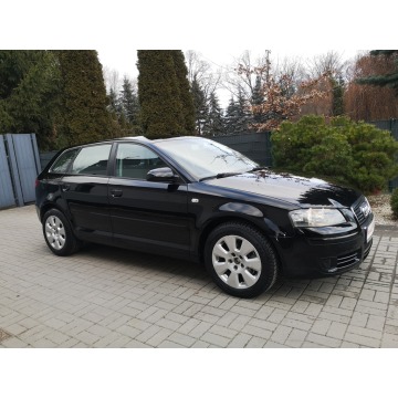 Audi A3 2005,  1.9 diesel - Na sprzedaż za 16 900 zł - Strzegom - zdjęcie 4