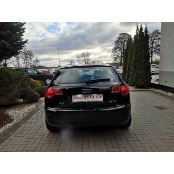 Audi A3 2005,  1.9 diesel - Na sprzedaż za 16 900 zł - Strzegom - zdjęcie 7