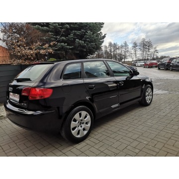 Audi A3 2005,  1.9 diesel - Na sprzedaż za 16 900 zł - Strzegom - zdjęcie 5
