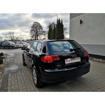 Audi A3 2005,  1.9 diesel - Na sprzedaż za 16 900 zł - Strzegom - zdjęcie 8