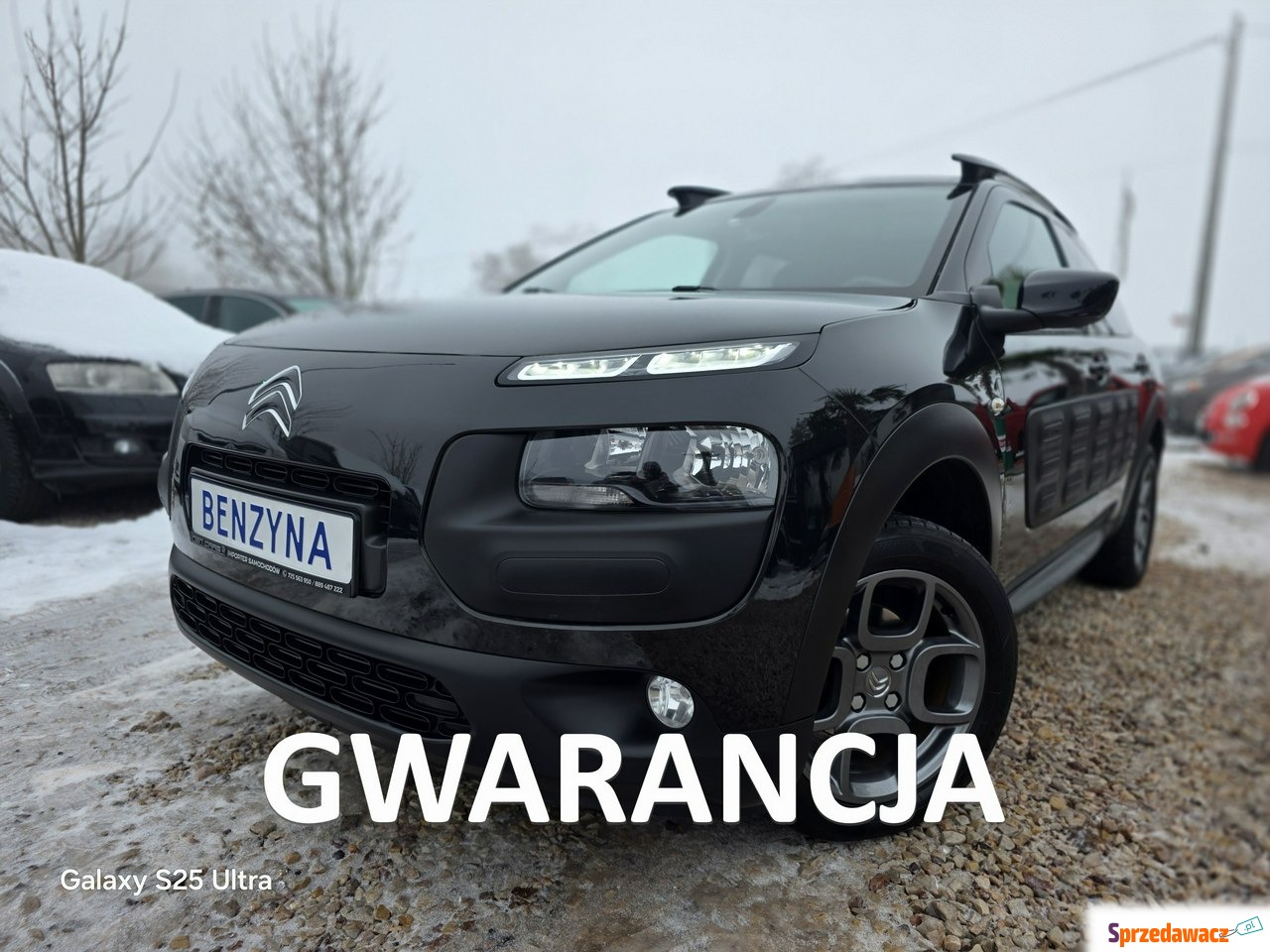 Citroen C4 Cactus 2016