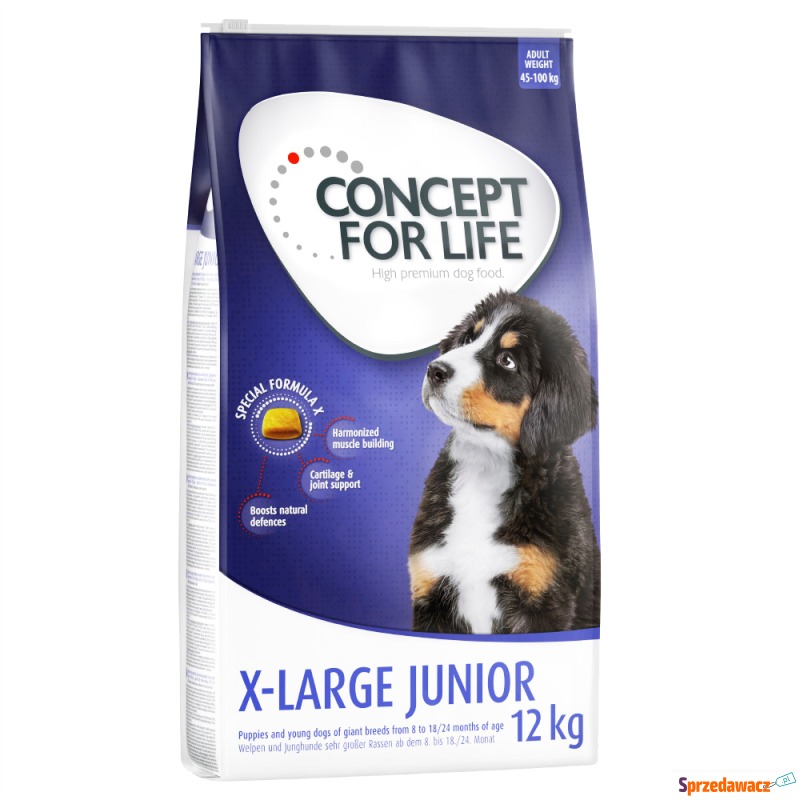 Dwupak Concept for Life - X-Large...