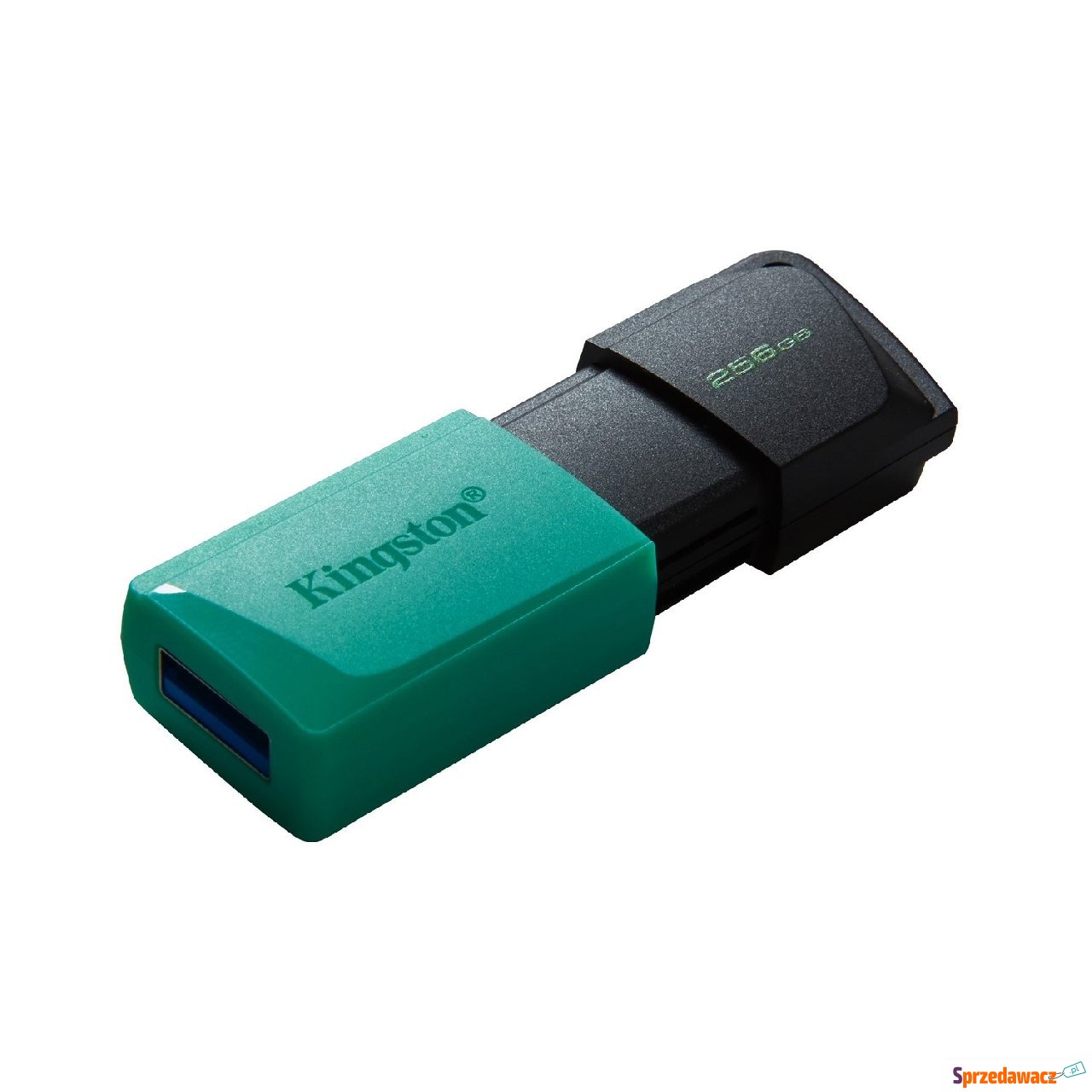 Kingston 256GB USB 3.2 Gen 1 D...