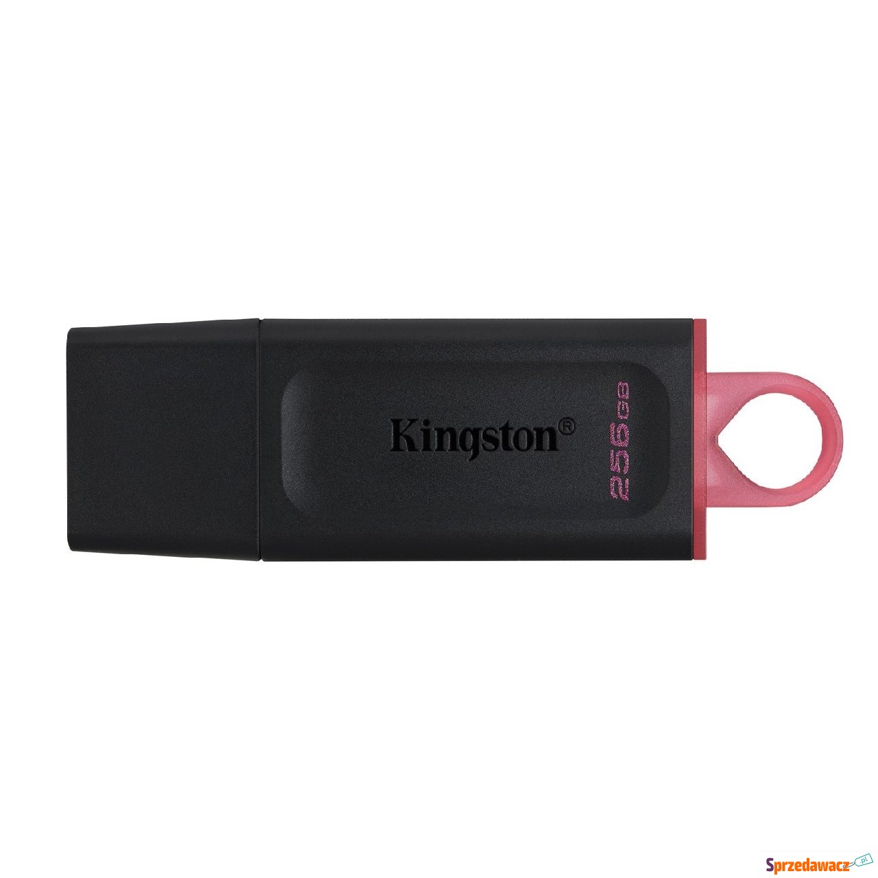 Kingston 256GB USB 3.2 Gen1 Da...