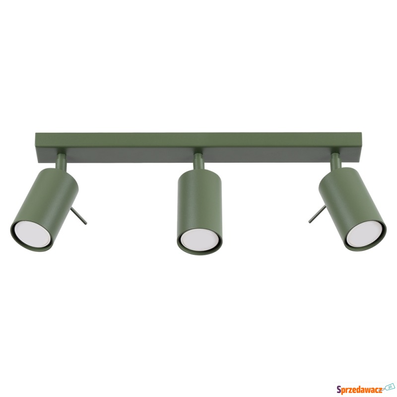 SELSEY Plafon Ring 3L zielony...