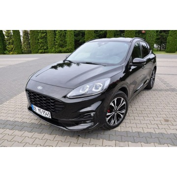 Ford Kuga  SUV 2020,  2.0 diesel, automat - Na sprzedaż za 89 900 zł - Ostrów Mazowiecka - zdjęcie 6