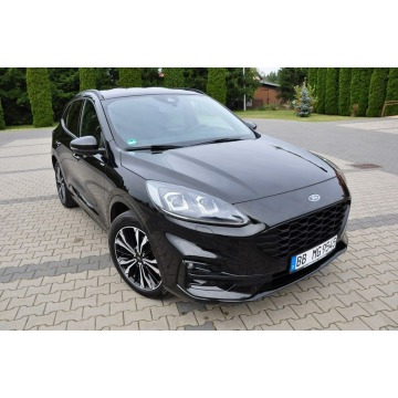 Ford Kuga  SUV 2020,  2.0 diesel, automat - Na sprzedaż za 89 900 zł - Ostrów Mazowiecka - zdjęcie 12