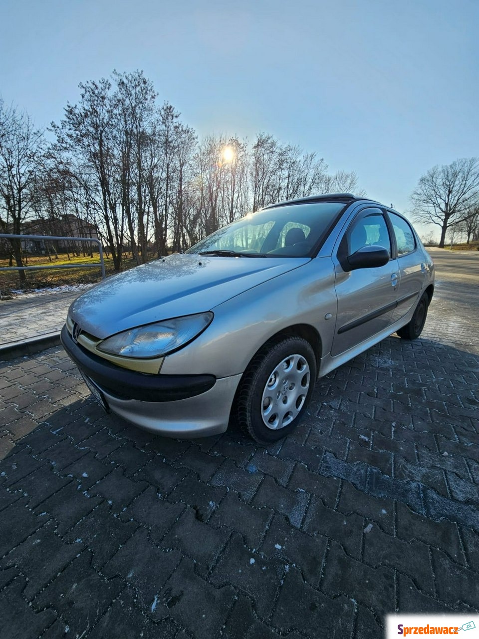 Peugeot 206 2004