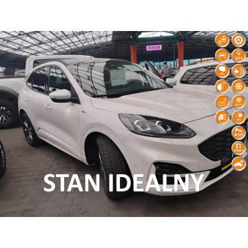 Ford Kuga - 2022