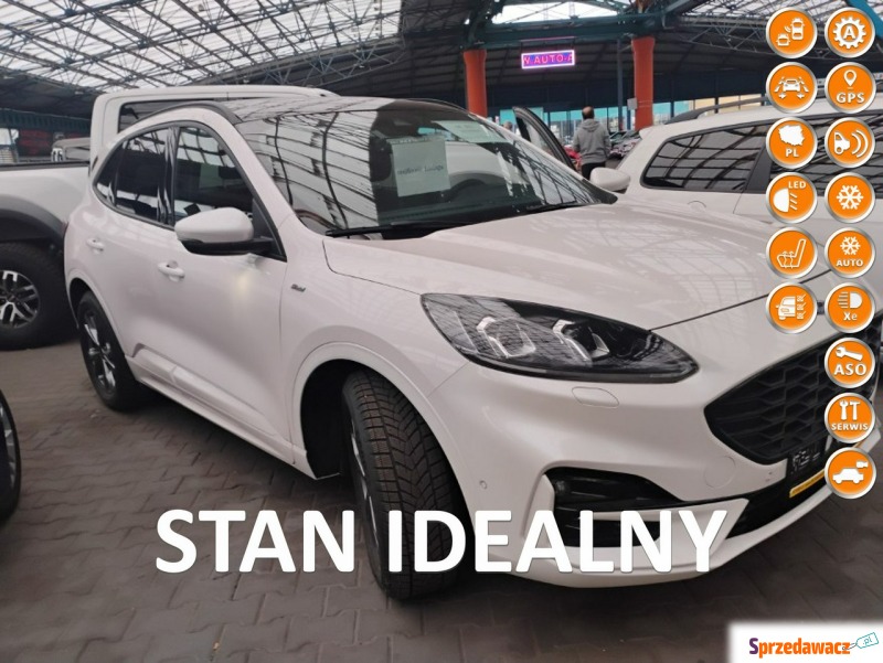 Ford Kuga  Terenowy 2022,  1.5 diesel, automat - Na sprzedaż za 89 500 zł - Mysłowice