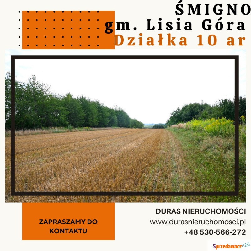 Śmigno działka budowlana 10 ar