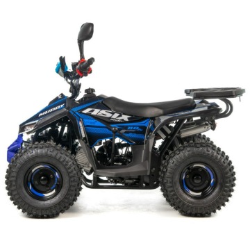 Quad ASIX Muddy 110 Transport Raty Fvat Licznik... - Quady - Bicz - zdjęcie 8