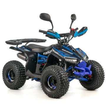 Quad ASIX Muddy 110 Transport Raty Fvat Licznik... - Quady - Bicz - zdjęcie 2