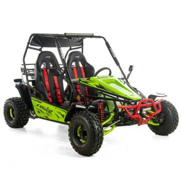 ASIX Buggy 200 Transport Raty Fvat 23% Automat... - Quady - Bicz - zdjęcie 3