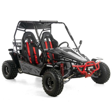ASIX Buggy 200 Transport Raty Fvat 23% Automat... - Quady - Bicz - zdjęcie 2