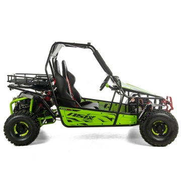 ASIX Buggy 200 Transport Raty Fvat 23% Automat... - Quady - Bicz - zdjęcie 10
