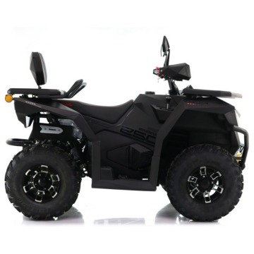 Quad ASIX Cyber 250RR Transport Raty Fvat Hom... - Quady - Bicz - zdjęcie 4
