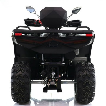 Quad ASIX Cyber 250RR Transport Raty Fvat Hom... - Quady - Bicz - zdjęcie 6