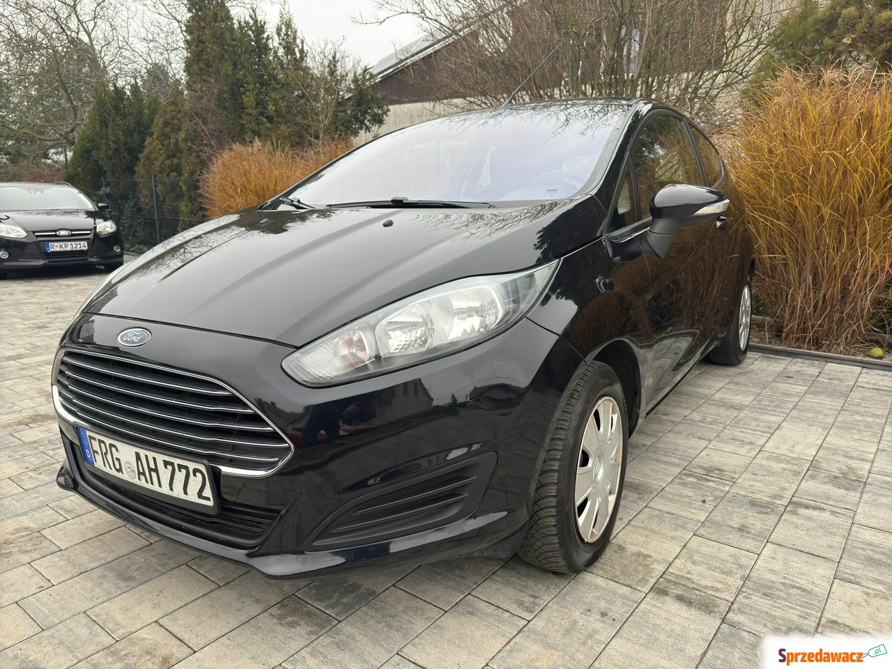 Ford Fiesta 2013