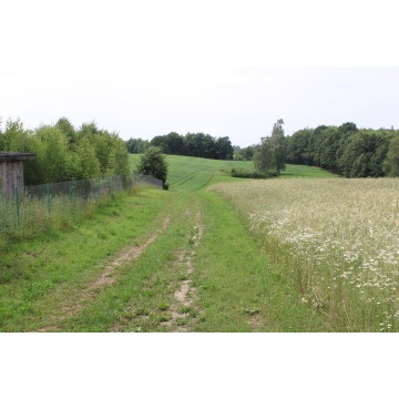 Działka budowlana Borowy Las sprzedam, pow. 1200 m2  (12a), uzbrojona - zdjęcie 2