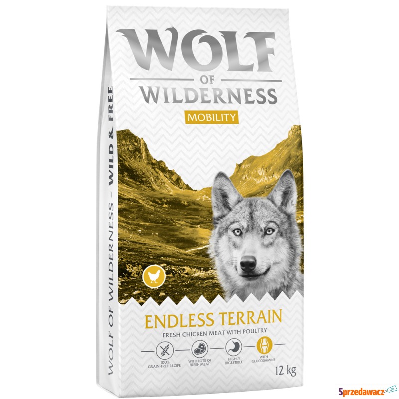 Wolf of Wilderness 