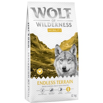 Wolf of Wilderness 