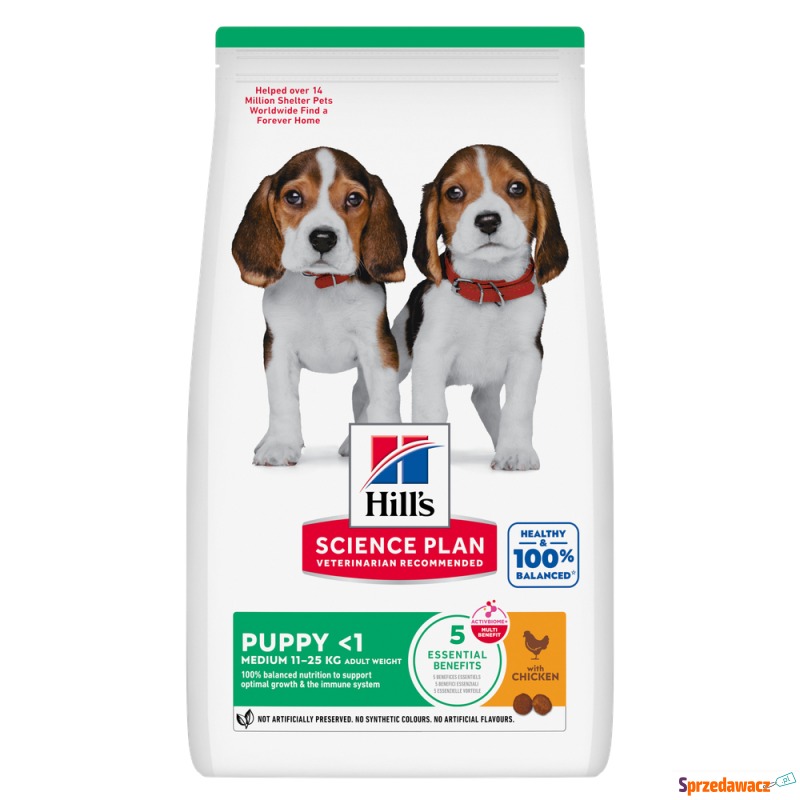 Hill's Science Plan Puppy <1 Medium, z kurczakiem... - Karmy dla psów - Gdańsk