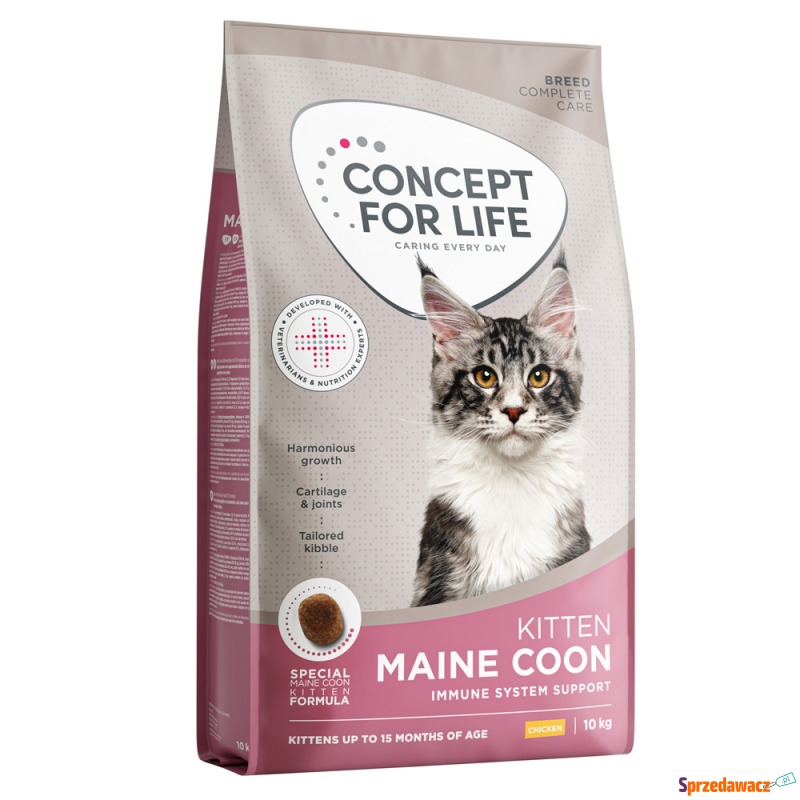 Concept for Life Maine Coon Kitten - NOWOŚĆ: 10... - Karmy dla kotów - Kalisz