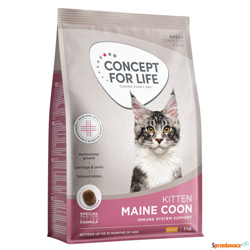 Concept for Life Maine Coon Kitten - NOWOŚĆ: 3... - Karmy dla kotów - Poznań
