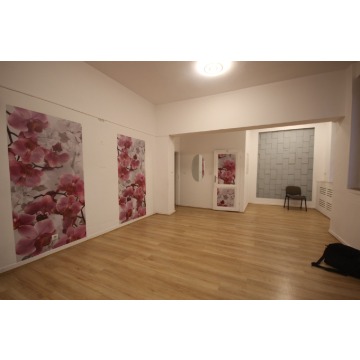 Lokal (132 metry) okolice Prusa (Wrocław) - Lokale użytkowe na s... - Wrocław - zdjęcie 2