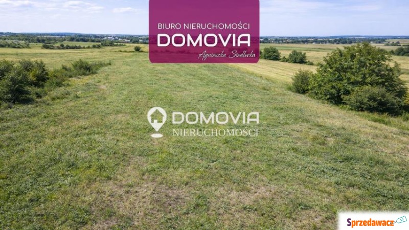 Działka na sprzedaż Płoskie Za...