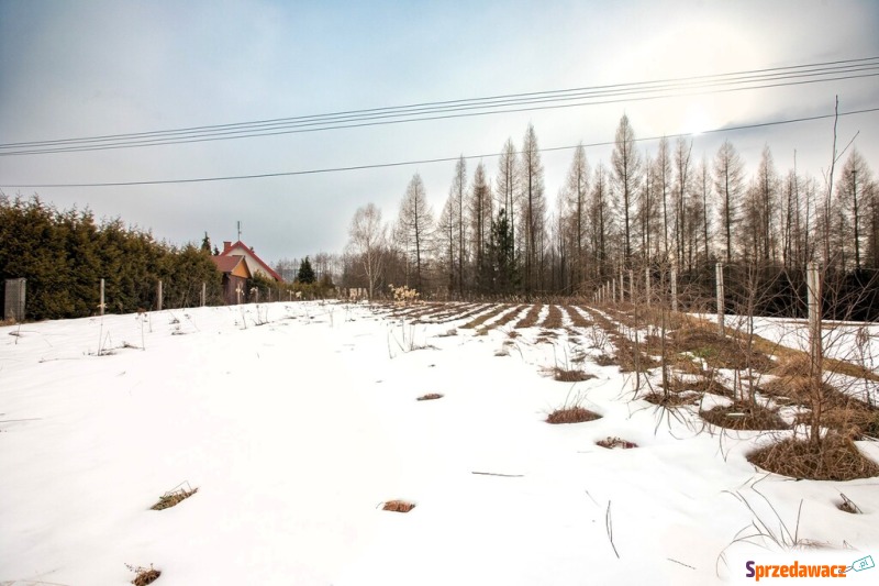 Działka budowlana Joniny sprzedam, pow. 1131 m2  (11.3a)