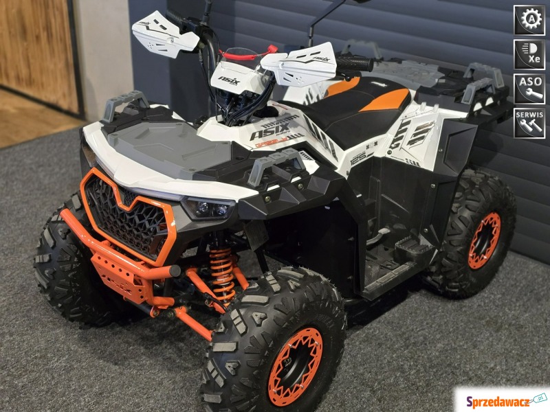 Nowy Model ASIX GRIZZLY 125 dla 6-10 lat Raty... - Quady - Bicz