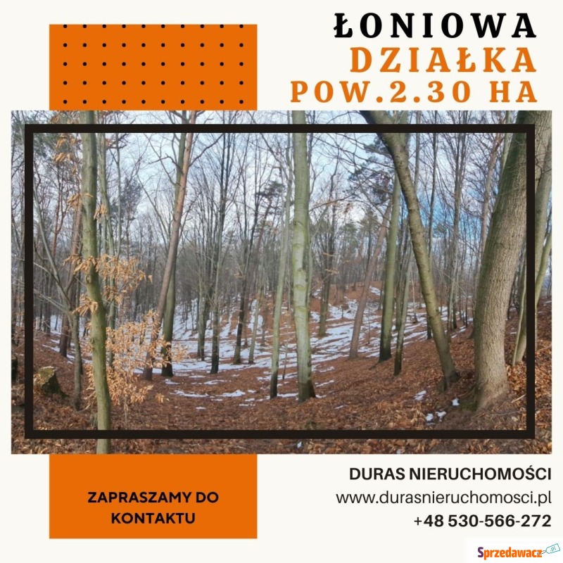 Łoniowa działka rolno-leśna 2,30...