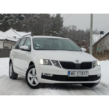 Skoda Octavia 2020,  1.6 diesel - Na sprzedaż za 43 911 zł - Nowe Iganie - zdjęcie 11