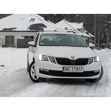 Skoda Octavia 2020,  1.6 diesel - Na sprzedaż za 43 911 zł - Nowe Iganie - zdjęcie 10